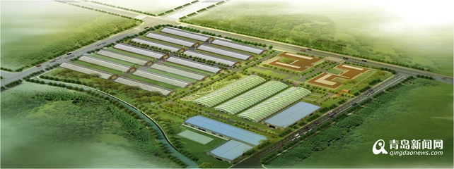 13個(gè)現(xiàn)代農(nóng)業(yè)項(xiàng)目落戶西海岸，總投資52億元