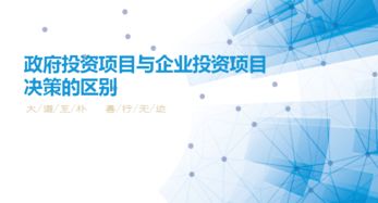 政府投資項目與企業(yè)投資項目決策在實業(yè)投資領(lǐng)域的差異剖析